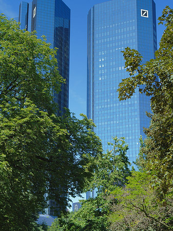 Foto Deutsche Bank mit Bäumen - Frankfurt am Main