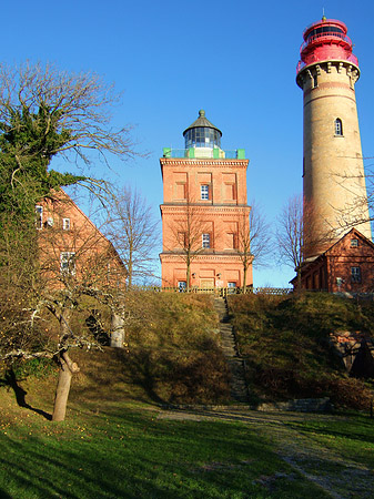Fotos Bäume
