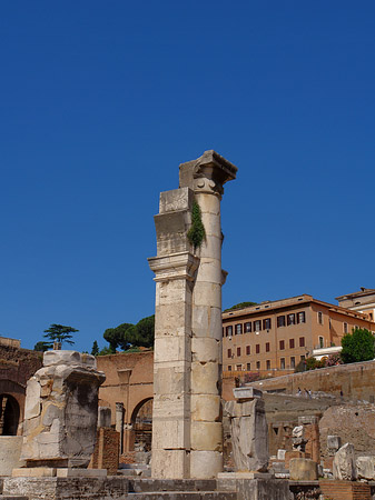 Säulen im Forum Romanum Foto 