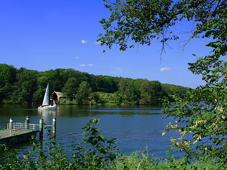 Havel Foto 