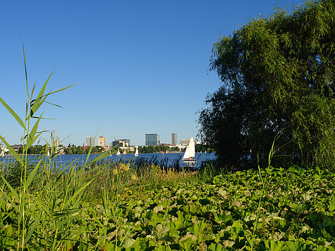 Fotos Blick nach Osten von der Außenalster