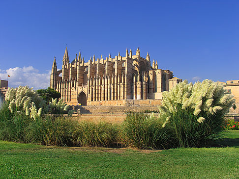 Fotos Die Kathedrale | Palma de Maljorka