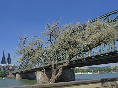 Foto Hohenzollernbrücke am Kölner Dom - Köln