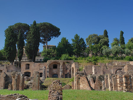 Fotos Forum Romanum