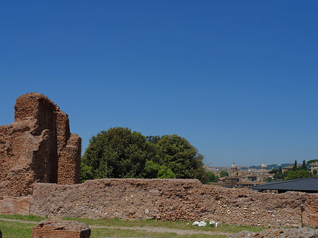 Foto Palatin - Rom