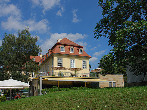 Fotos Bärenzwinger | Dresden