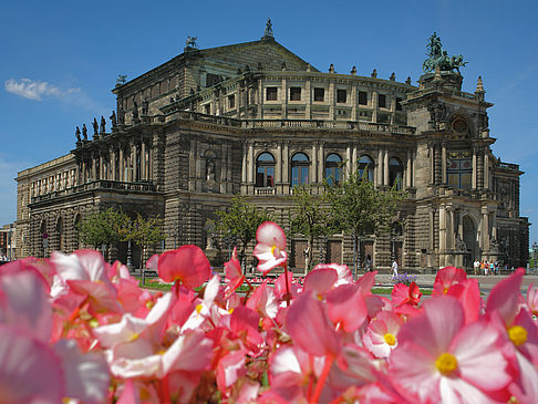 Fotos Semperoper mit Blumen